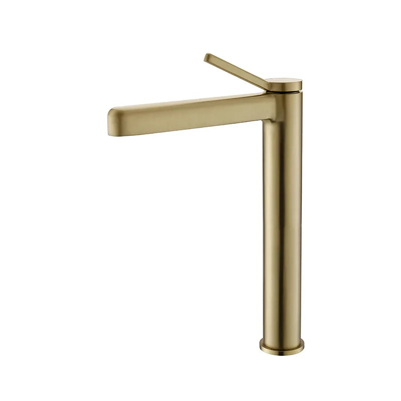 LEEGO BATHROOM FAUCET single handle single-function Hot and cold water switch