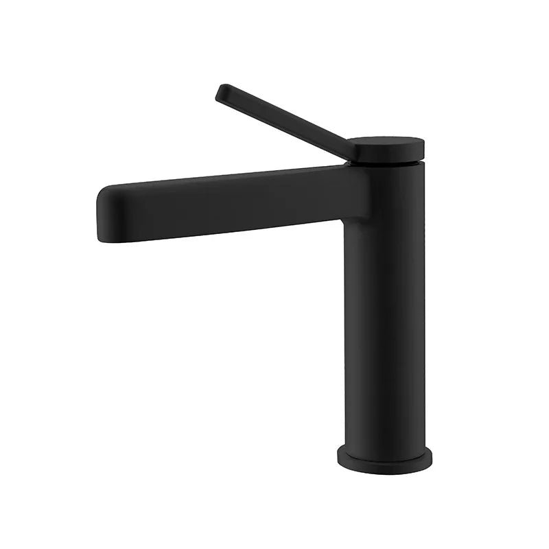 LEEGO BATHROOM FAUCET single handle single-function Hot and cold water switch