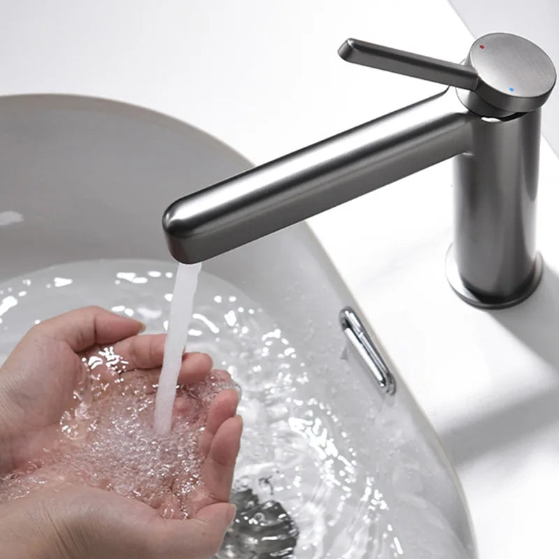 LEEGO BATHROOM FAUCET single handle single-function Hot and cold water switch