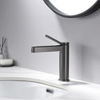 LEEGO BATHROOM FAUCET single handle single-function Hot and cold water switch
