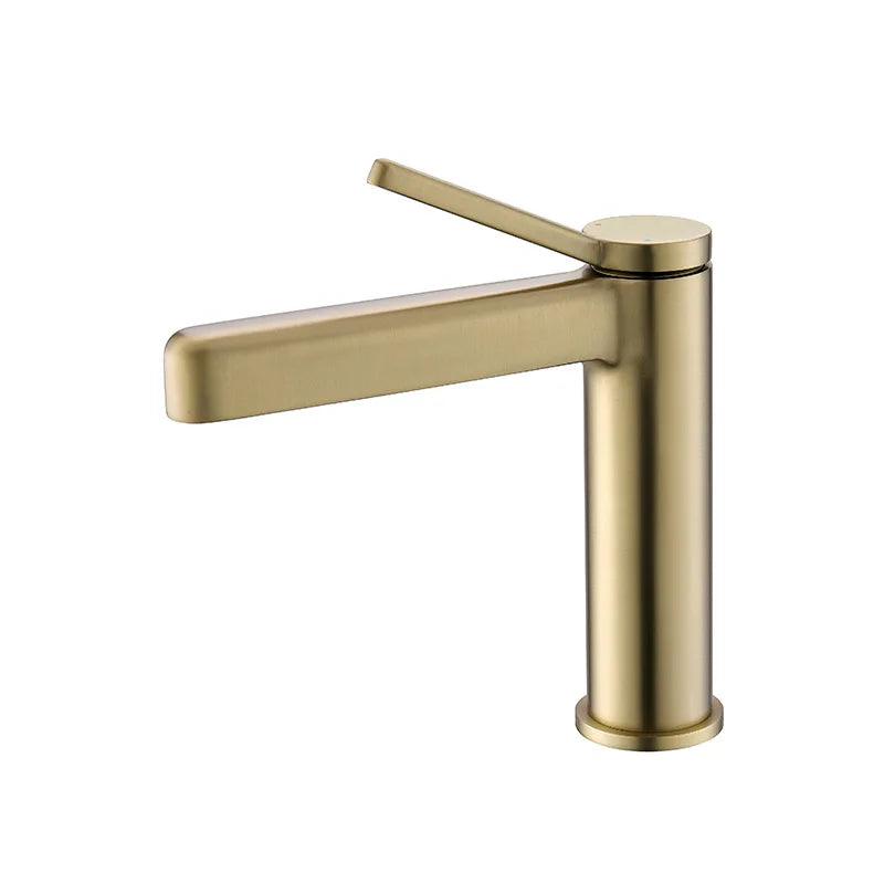LEEGO BATHROOM FAUCET single handle single-function Hot and cold water switch